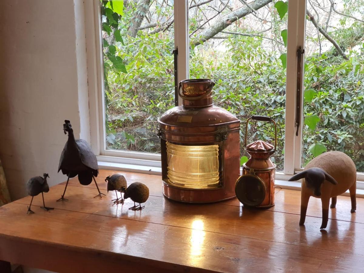 Hotel Beacon Vlei Guest Farm Balgowan Zewnętrze zdjęcie
