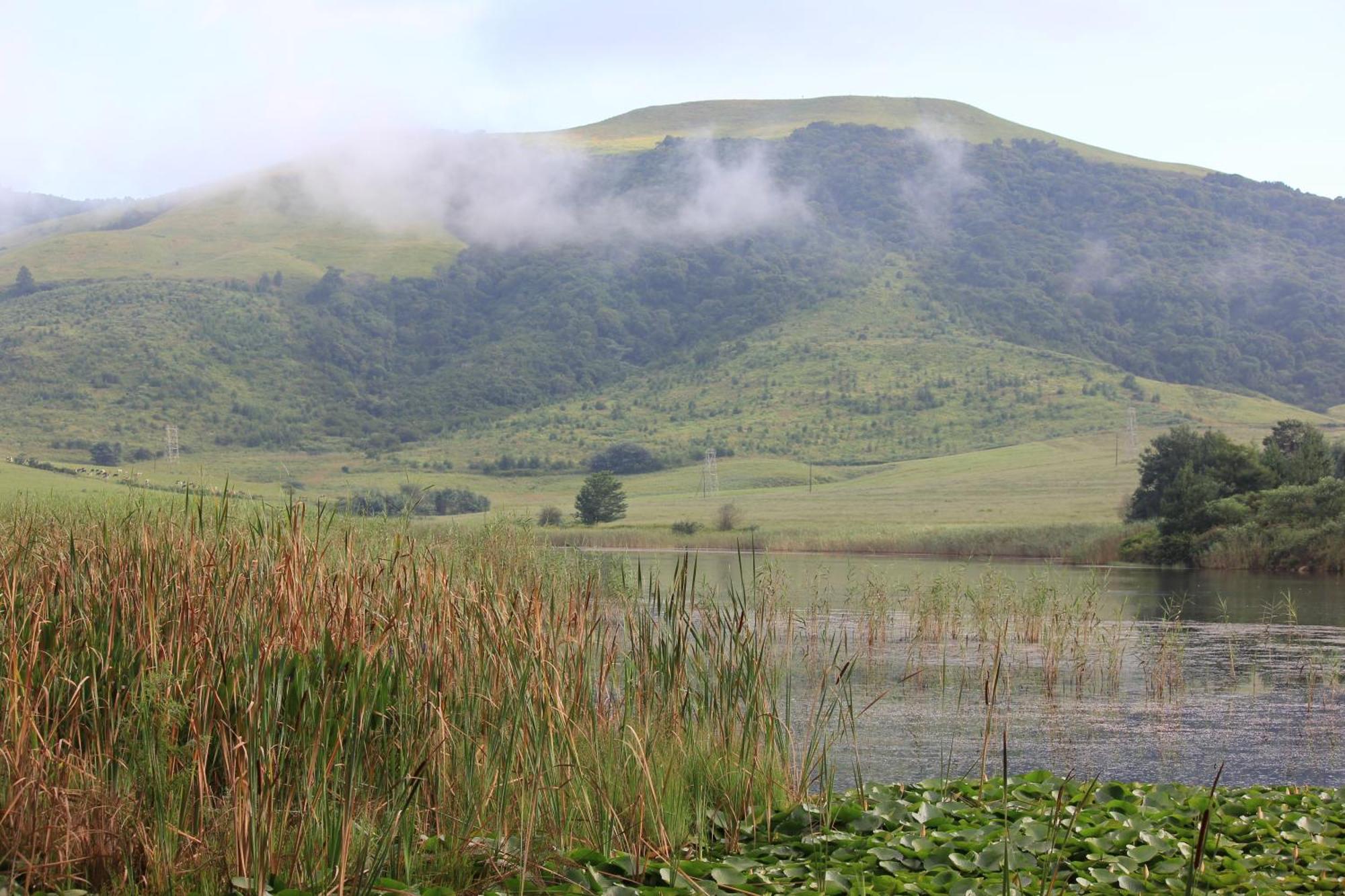Hotel Beacon Vlei Guest Farm Balgowan Zewnętrze zdjęcie